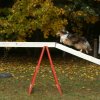 agility 2011-10-30